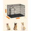 Collapsible Pet Crate with 2 Doors-105919710