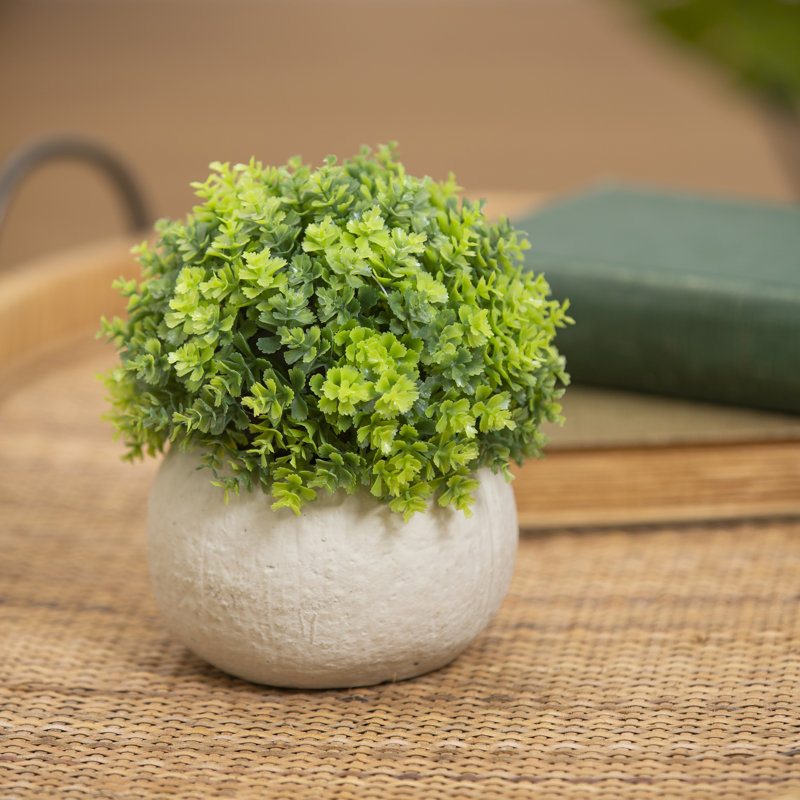Buis artificiel en pot 6,25 po