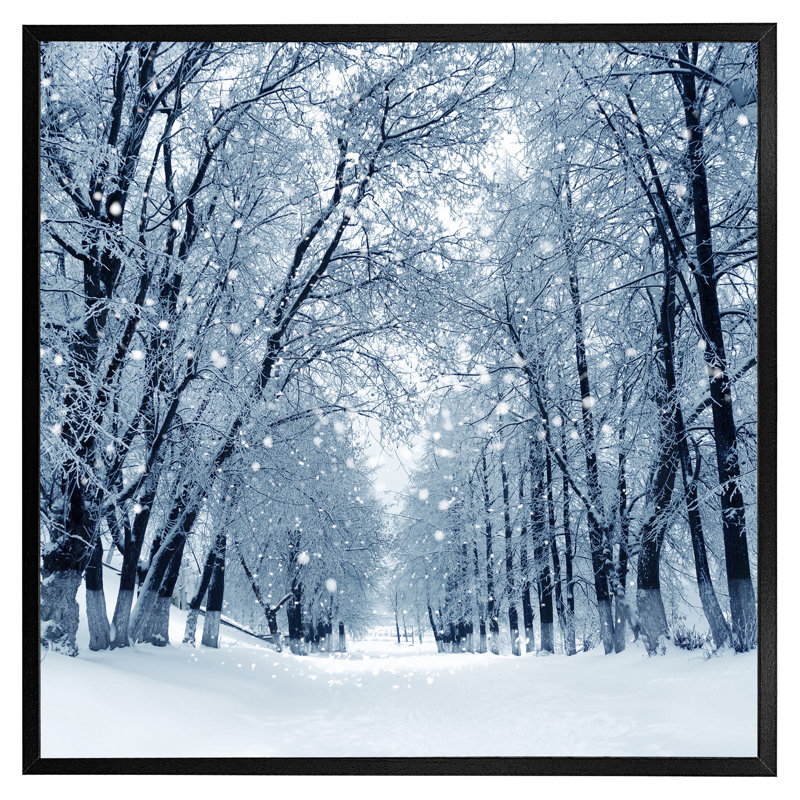 Collyer Snowstorm In Park - Single Picture Frame Print, 51cm H x 51cm W x 4cm D, Black