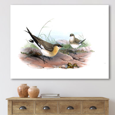 Illustration d'oiseau rétro II - impression sur toile