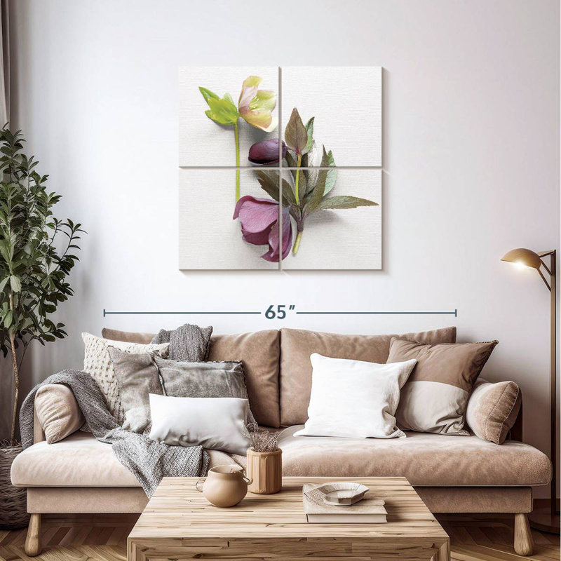 Hellebore Study III, 38" H x 38" W
