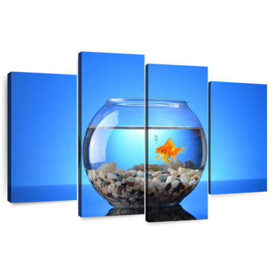 Brampt Pet Goldfish
