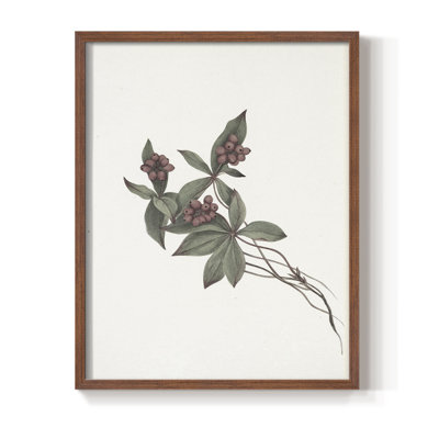 Imprimé floral rétro CLXV III