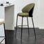 Chaise d'appoint à dossier noir et vert uni (ensemble de 2)-1239055957-1239055956