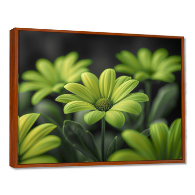 Photo de marguerites monochromes vertes et noires - salon de marguerites murales