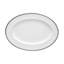 Rochelle Platinum Dinnerware Collection
