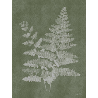 Woodland Ferns II