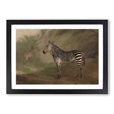 Zebra by Jacques-Laurent Agasse - Framed Print
