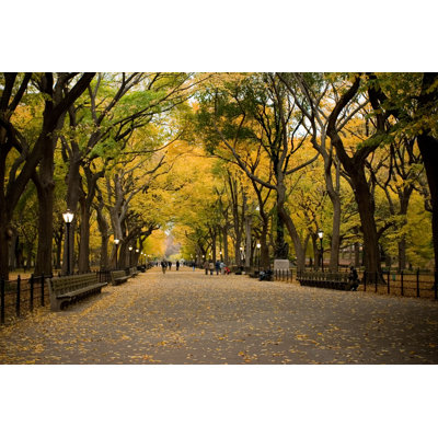 Central Park par Zxvisual