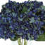 White, Blue And Green Hydrangea Bouquet-1603759549