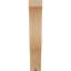 Attelle de genou Funston-1812888342-1812888344-1803676120