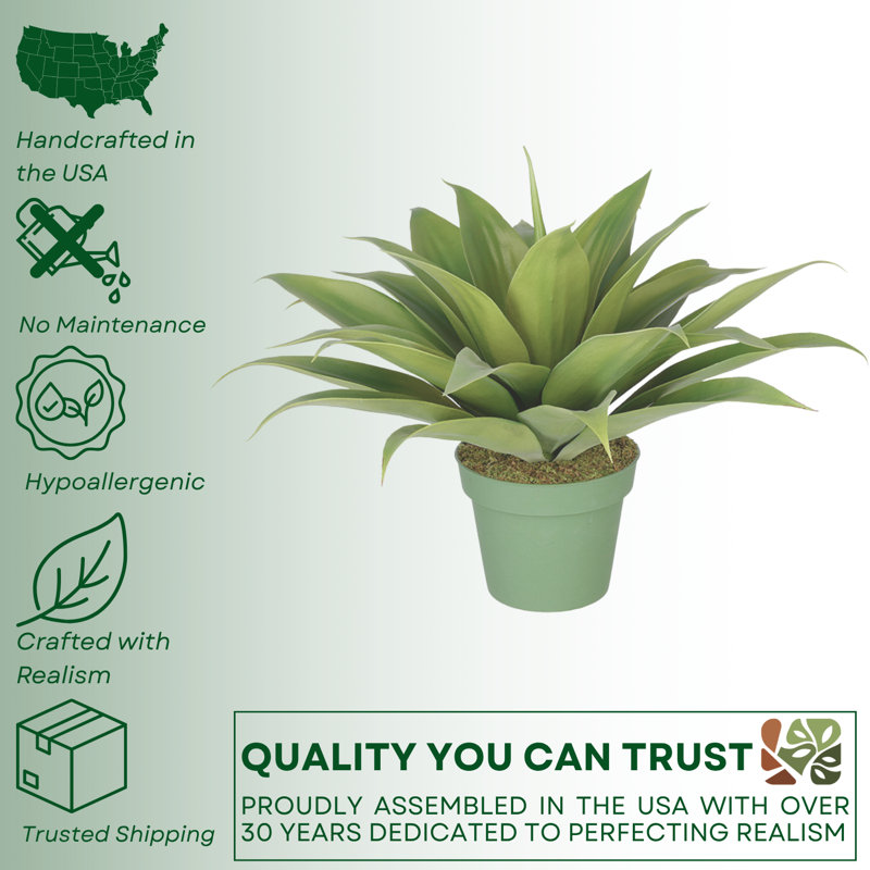 Plante grasse artificielle en pot, H 13 po x l 16 po x P 16 po