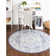 Shailena Oriental Indoor Rug