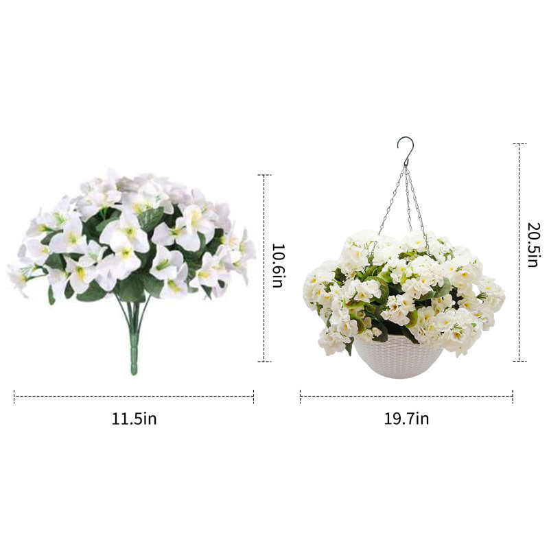 13.5cm Plant