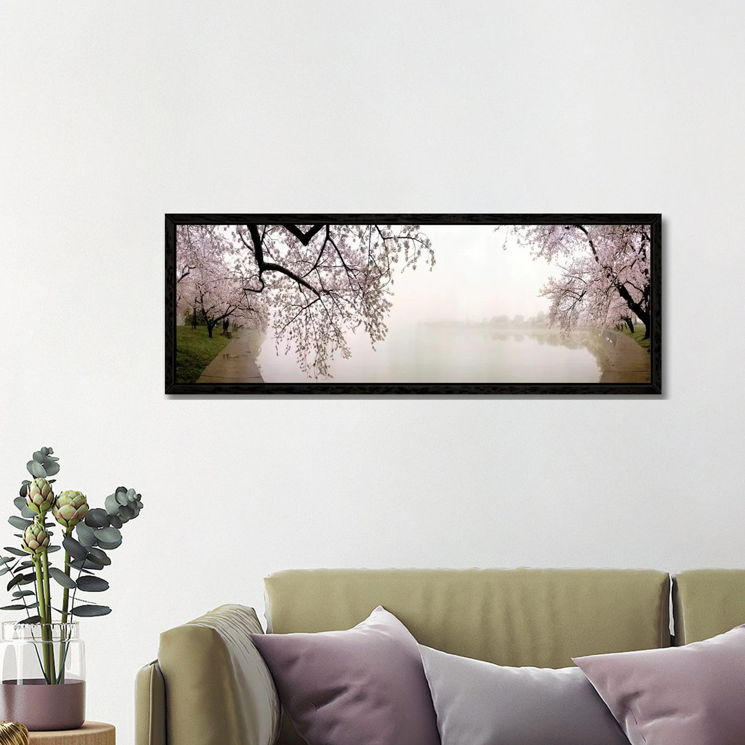 Cherry Blossoms At The LakesideWashington DC, USA von Panoramic Images - Floater Frame Panoramic Gallery-Wrapped Canvas ...