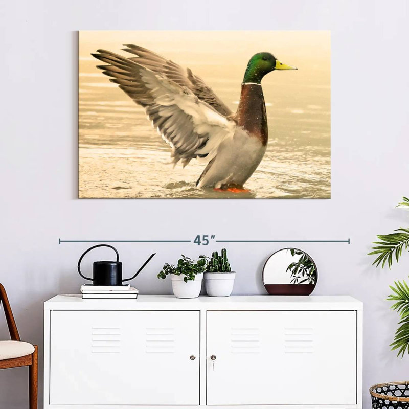 Canard colvert majestueux Brampt, H 26 po x l 39 po