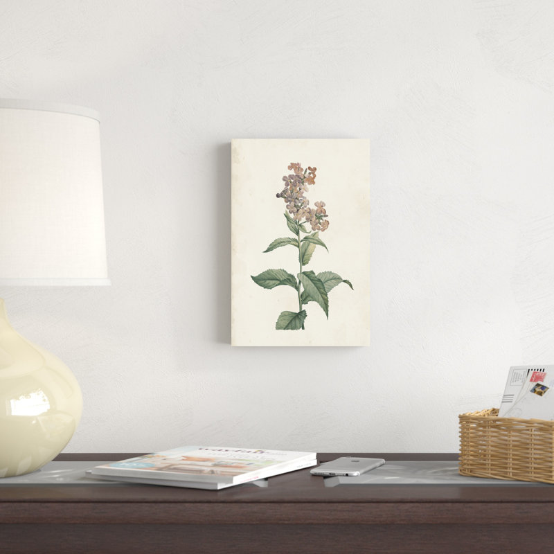 Classic Botanicals II, H 12 po x l 8 po