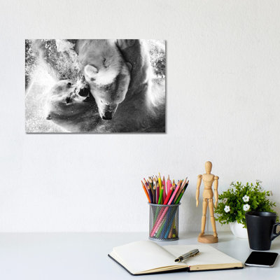 Polar Bears Fighting Underwater Close Up In Black And White by Nik Rave - Wrapped Canvas Print
