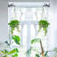 Wall Planter