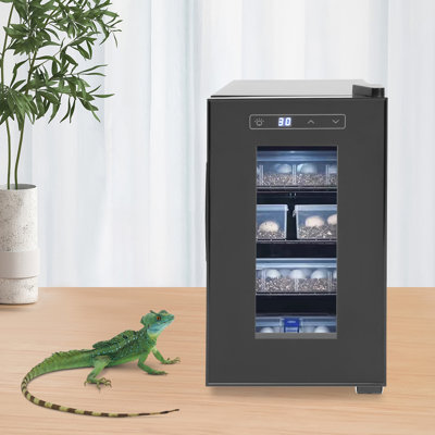 Incubateur à œufs de reptile avec contrôle précis de la température