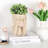 Jenaiya Statue Planter