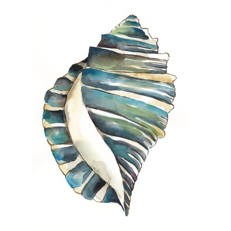 Aquarelle Shells I by Chariklia Zarris - Wrapped Canvas Painting, 76cm H x 76cm W