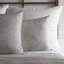 Aspen Sham-61068879-61628348