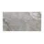 Carreau en porcelaine mate Daltile 12 po x 24 po (9 pièces par carton) (17,01 pi² par carton)-136139587