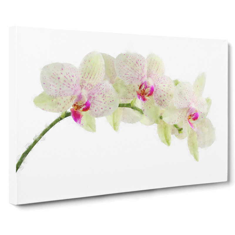Orchid Flowers Vol.1 - Wrapped Canvas, 35cm H x 50cm W x 3cm D