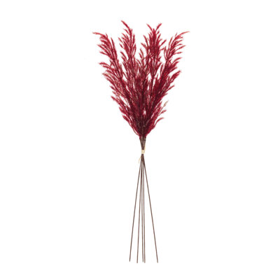Plume Arrangement