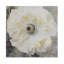 « fleuriing doucement i », reproduction d’art sur toile tendue