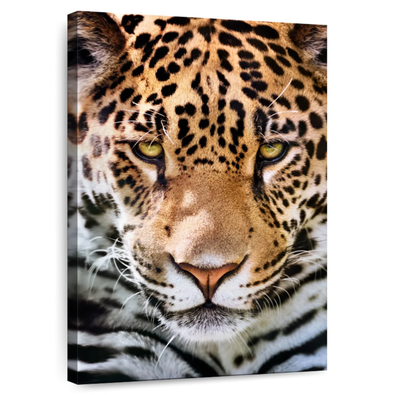 Brampt Frowning Jaguar, 30" H x 20" W