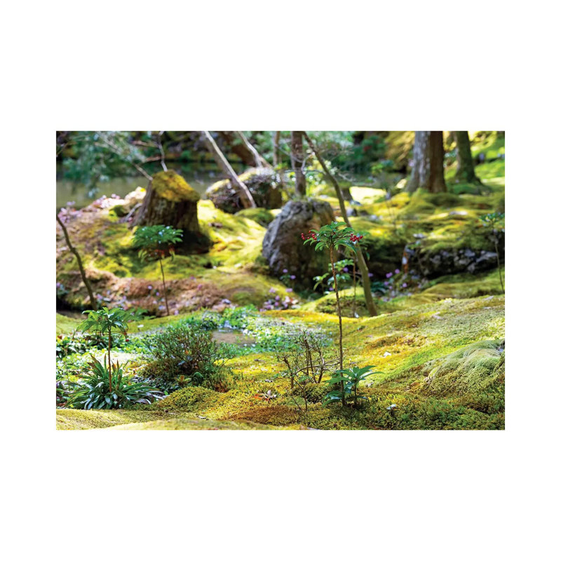 «Beautiful Moss Garden» par Philippe Hugonnard - Photographie sur toile tendue, H 8 po x l 12 po x P 0,75 po