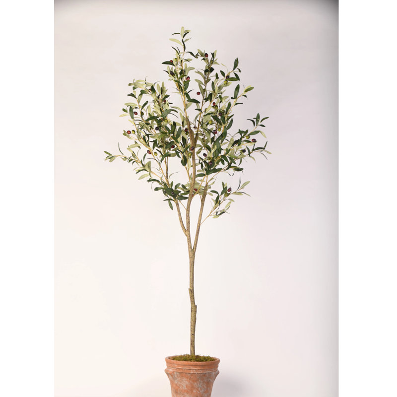 Faux Olive Tree in Planter