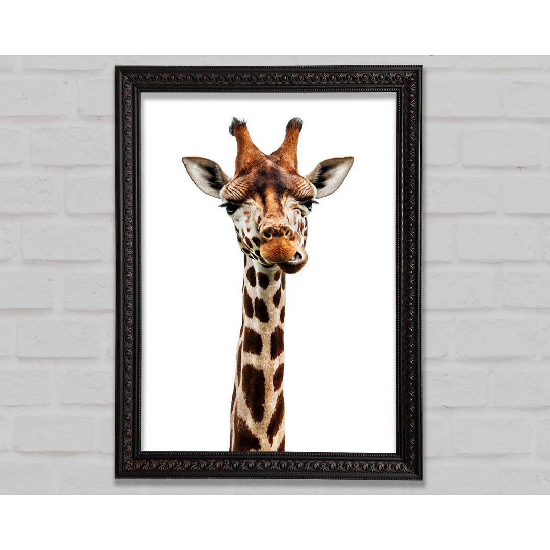 Goofy Giraffe - Einzelner Bilderrahmen Kunstdrucke