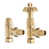 Unlaquered Brass