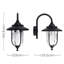 Springvale Black/Transparent Outdoor Wall Lantern