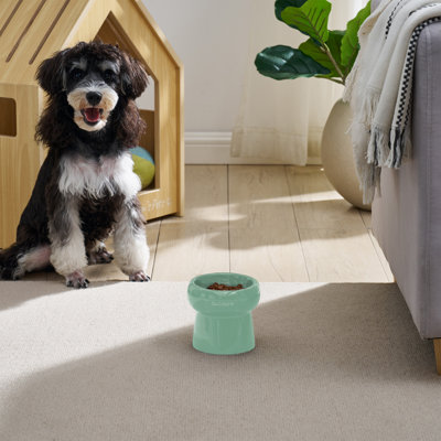 Sam's Pets Tall Tulip 2.0 Pet Bowl In Glossy