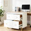 Classeur multifonctionnel blanc Nordic Office