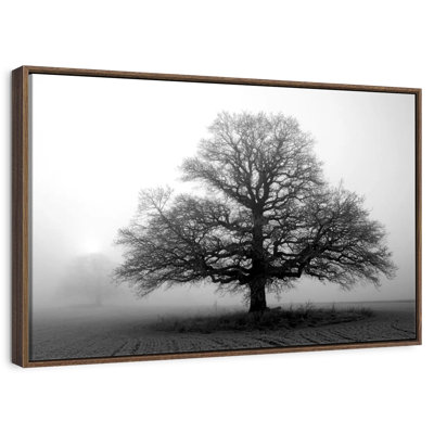 Tree In Mist