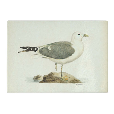 Tempered Glass a Common Gull Chopping Board