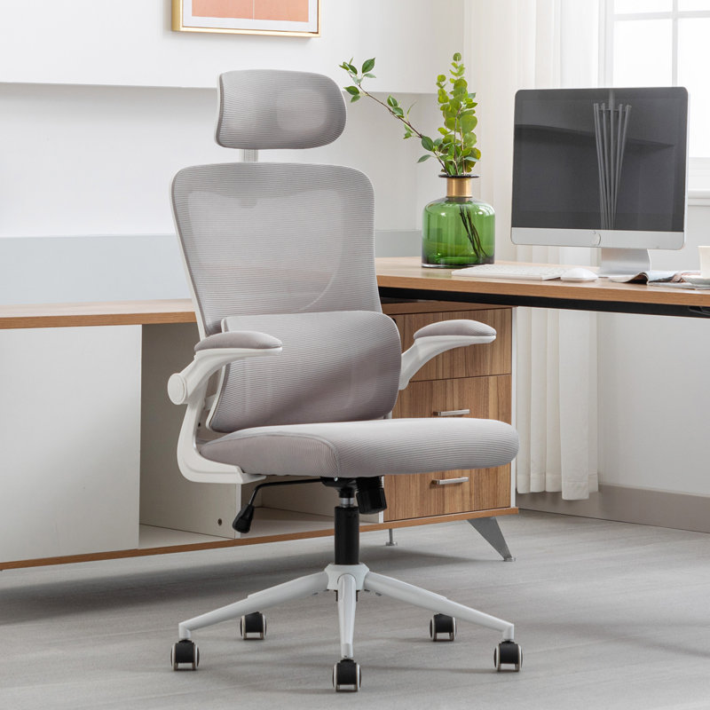 Tunney Ergonomic Height-Adjustable Mesh Office Chair with Headrest, Grey