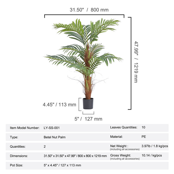 Dimensions du produit