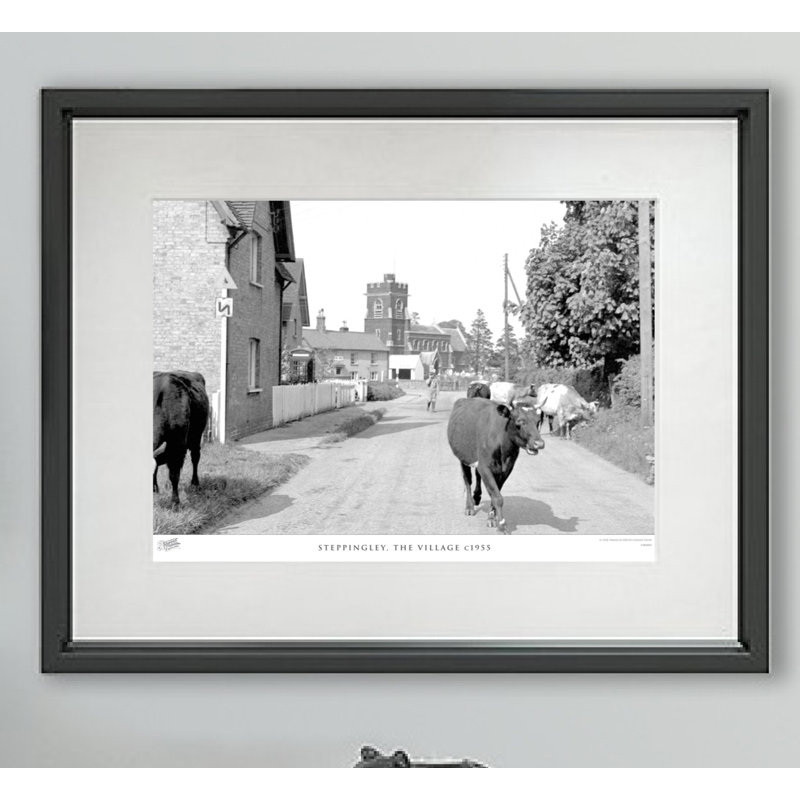 Steppingley, The Village C1955 - Single Picture Frame Print, 40cm H X 50cm W x 2cm D