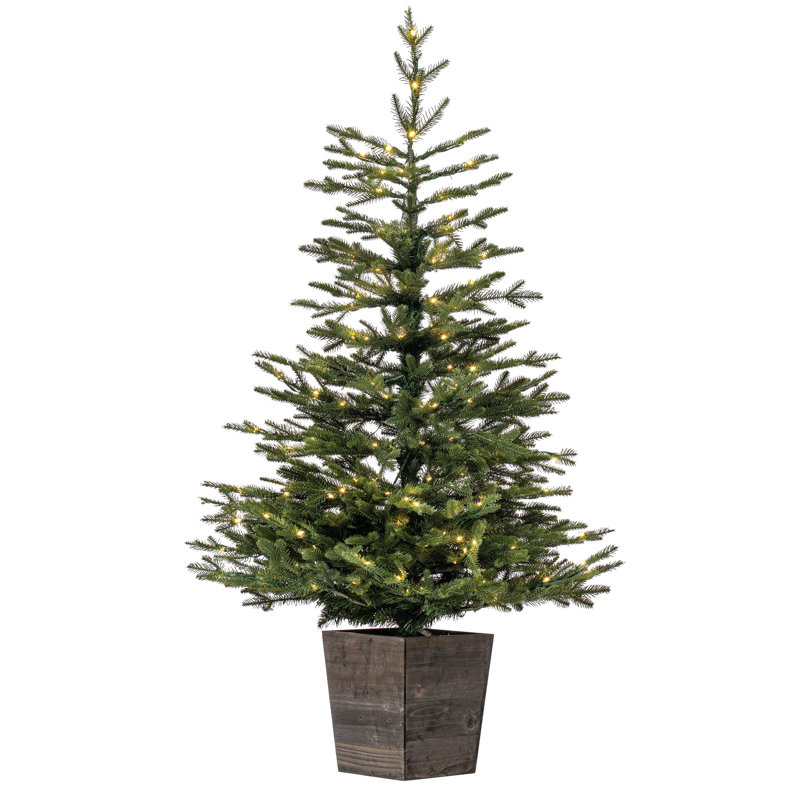 4' H Lighted Artificial Pine Christmas Tree