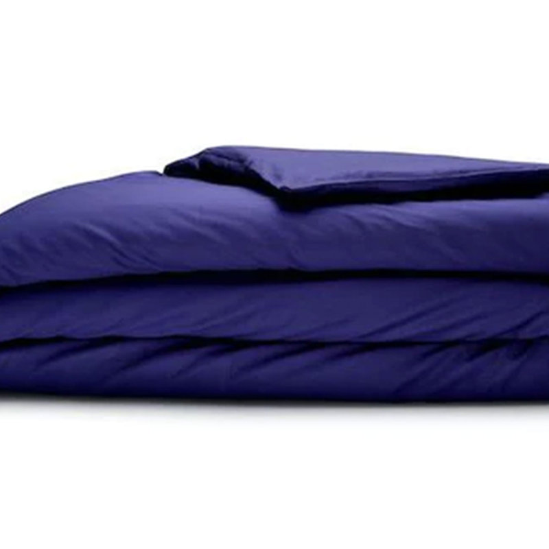 Alwyn Home Supima 400 Thread Count Cotton Duvet Cover and Travel Bag, Twin, Violet