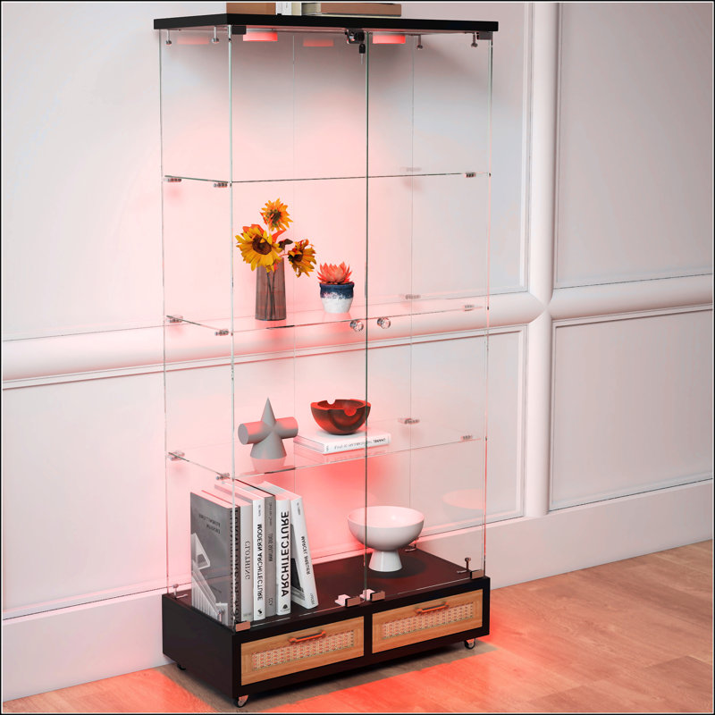 Vitrine moderne en verre, Naturel/noir