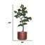 60" Artificial Faux Bonsai Tree In A Wooden Coloured Round Fiberstone Panter
