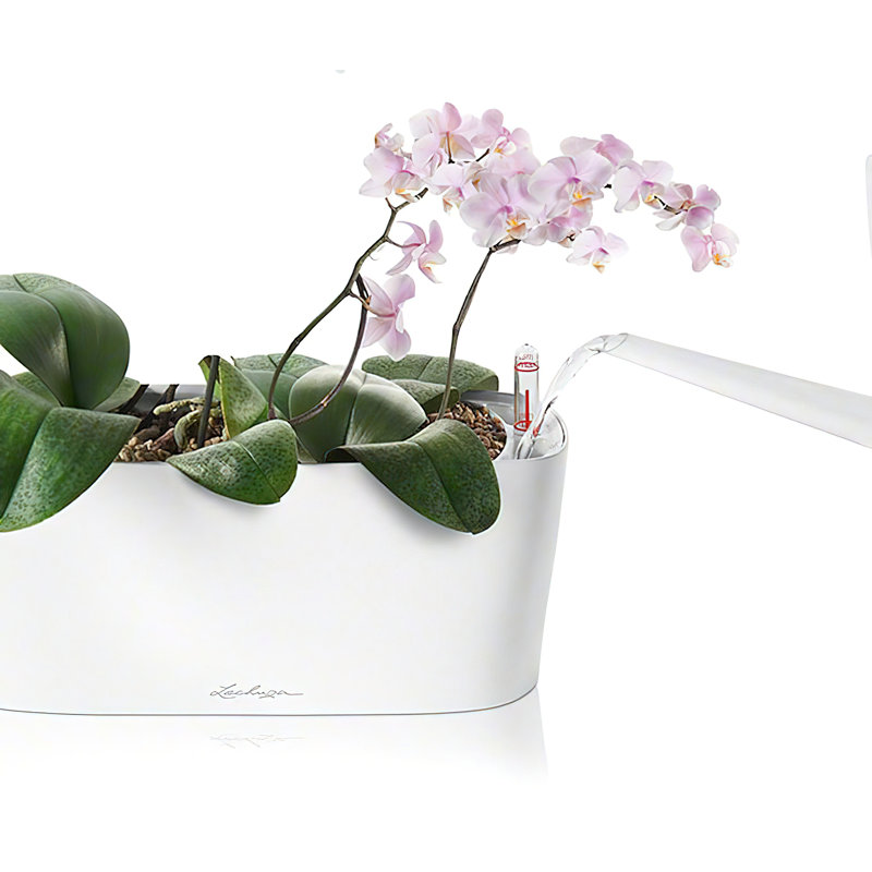 Delta Premium Window Box Planter, White, 18cm H x 40cm W x 15cm D
