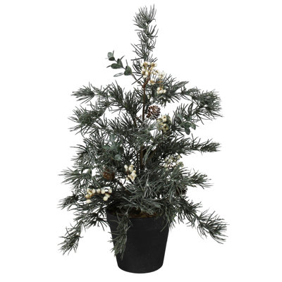 Arbre - pin et cyprès 
